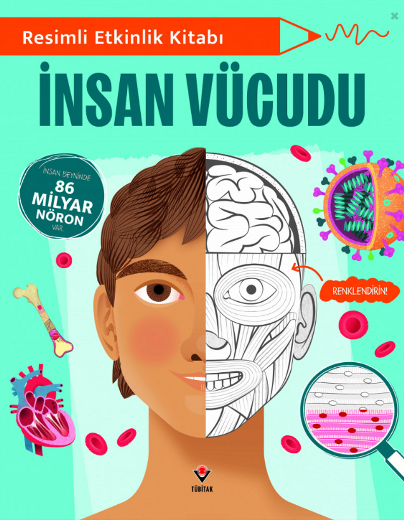 Resimli Etkinlik Kitabı - İnsan Vücudu kitap kapağı