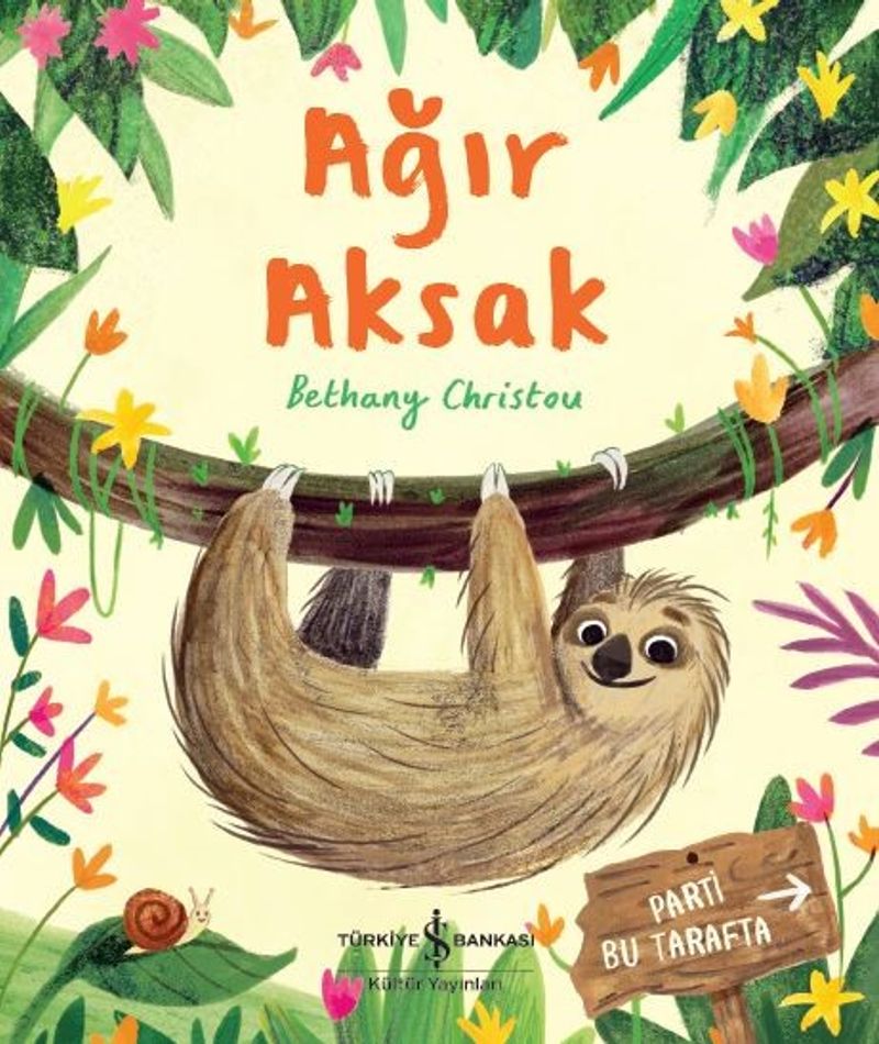 Ağır Aksak kitap kapağı