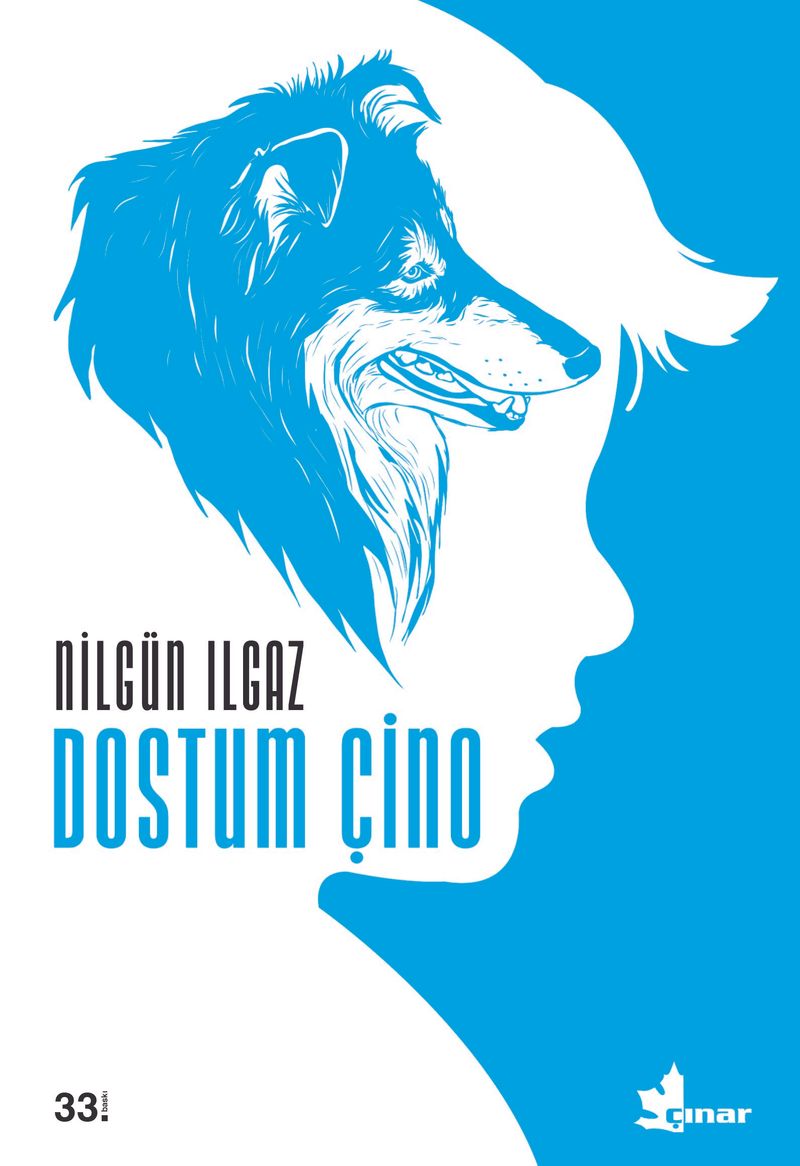Dostum Çino kitap kapağı
