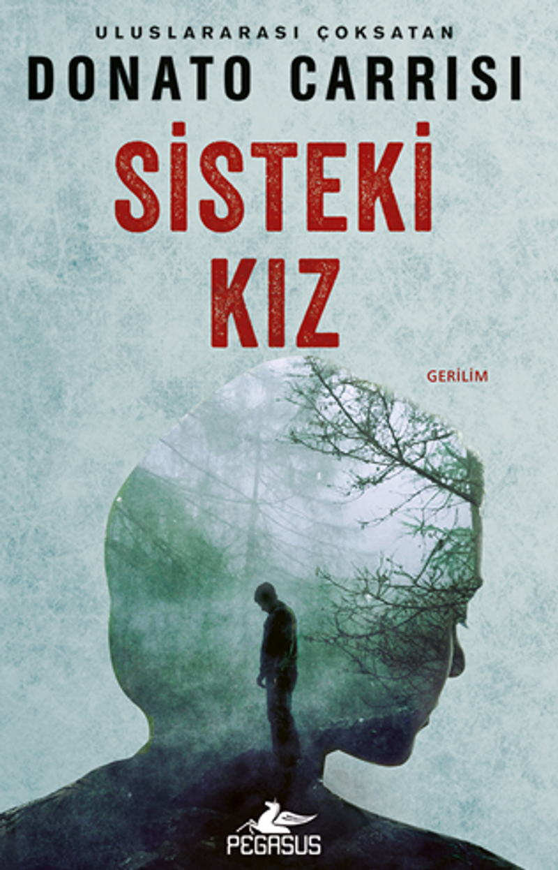 Sisteki Kız kitap kapağı