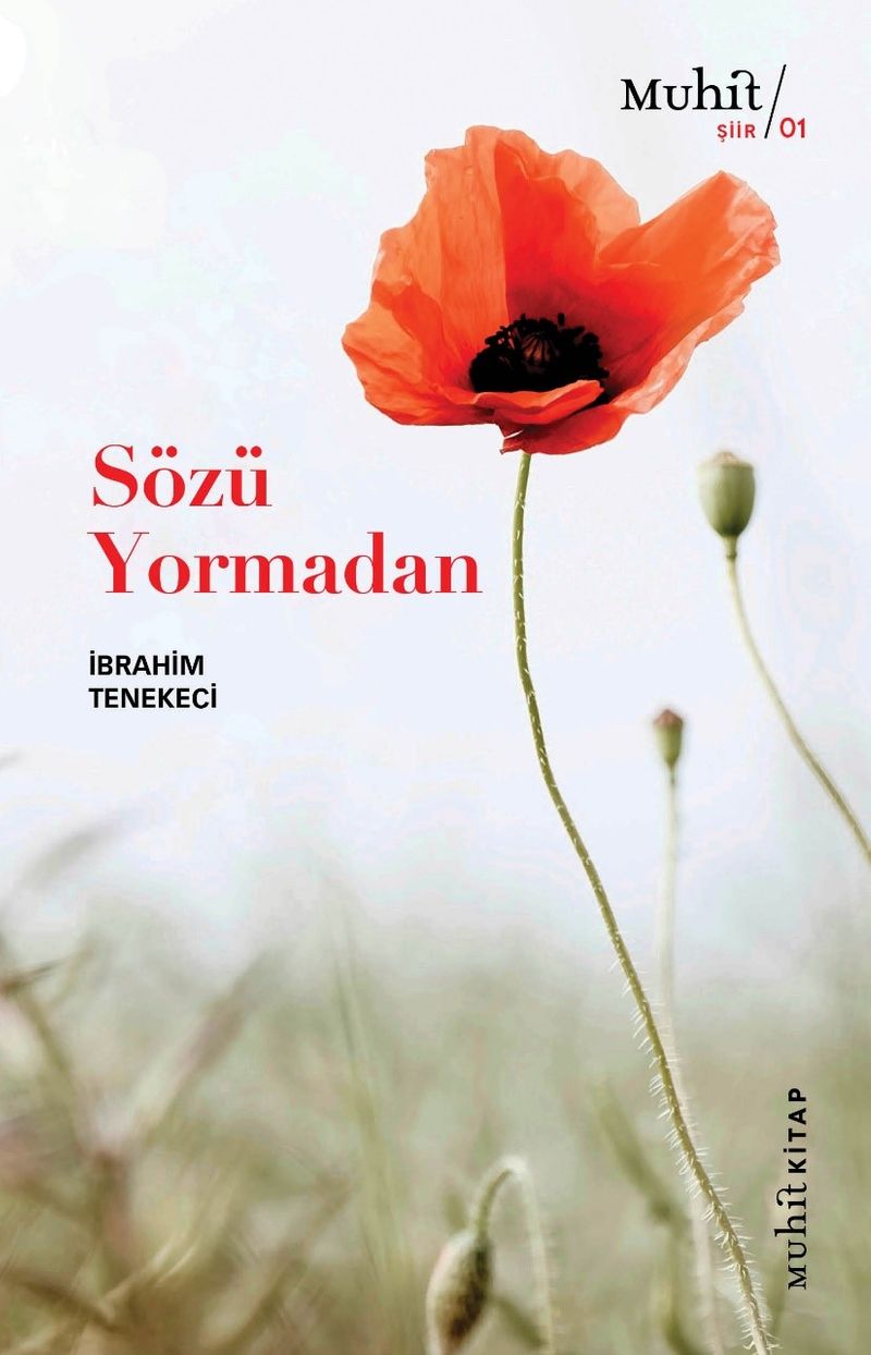 Sözü Yormadan kitap kapağı