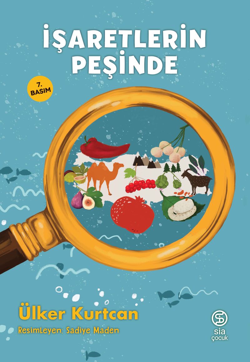 İşaretlerin Peşinde kitap kapağı