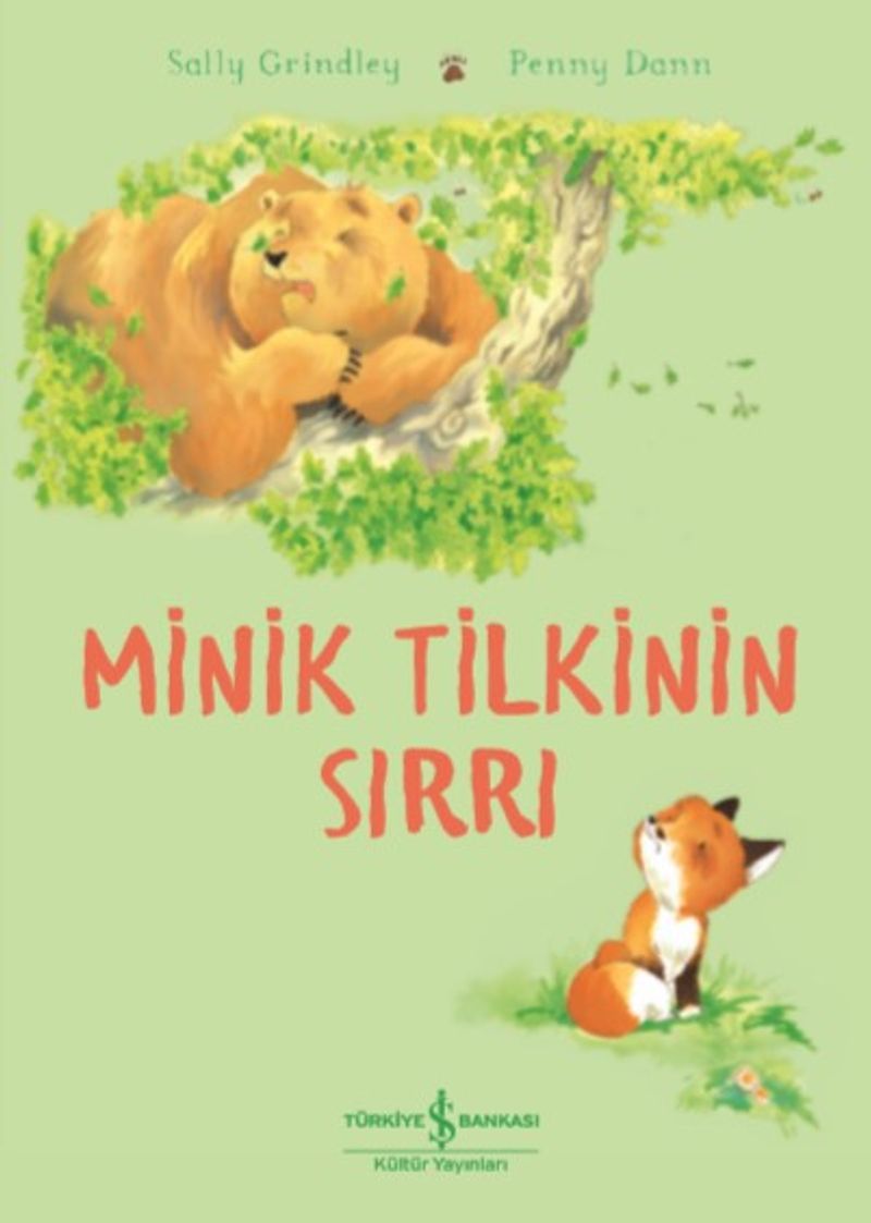 Minik Tilkinin Sırrı kitap kapağı