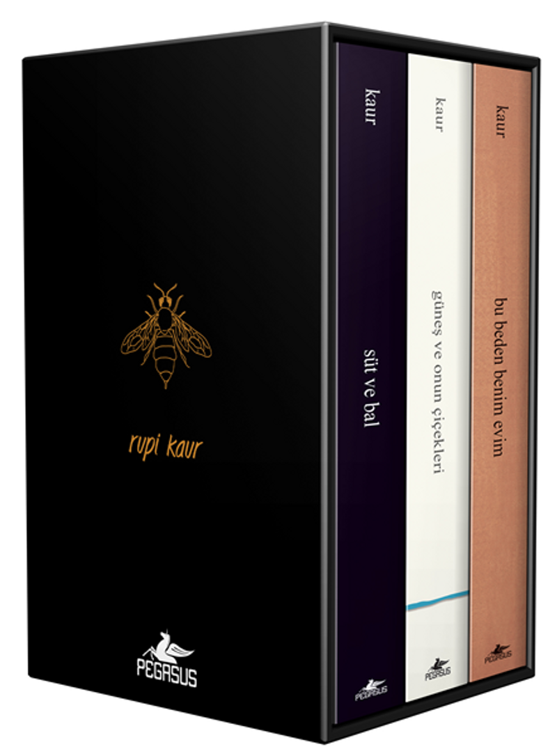 Rupi Kaur Şiir Koleksiyonu Kutulu Özel Set (3 Kitap) kitap kapağı