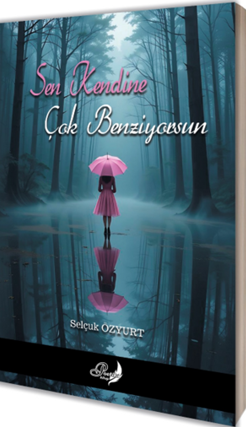 Sen Kendine Çok Benziyorsun kitap kapağı