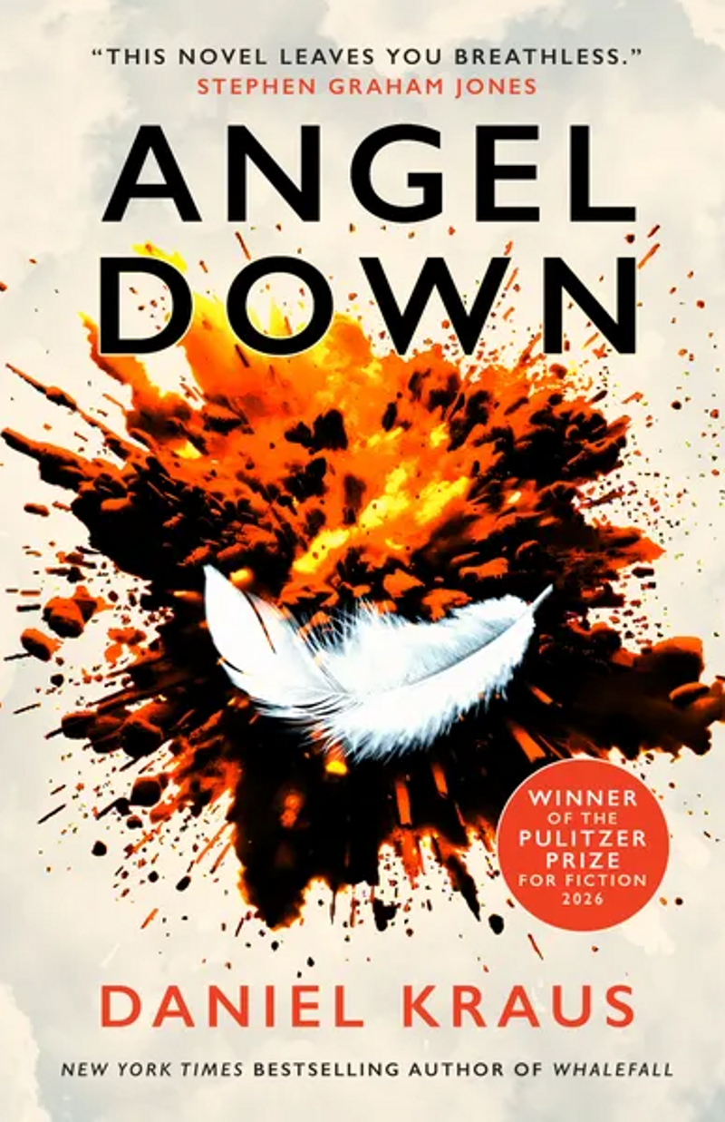 Angel Down kitap kapağı