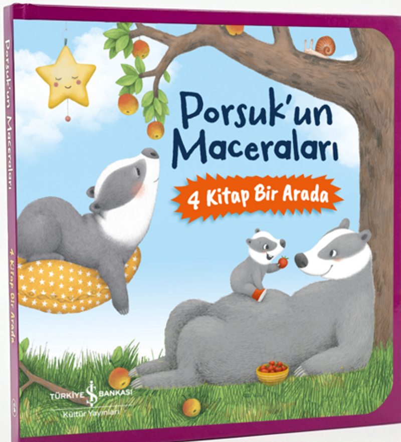 Porsuk'un Maceraları (4 Kitap Kutulu) kitap kapağı