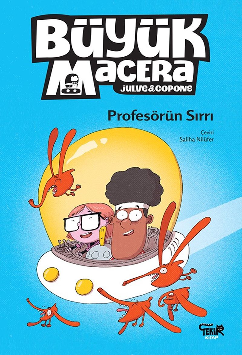 Büyük Macera / Profesörün Sırrı kitap kapağı