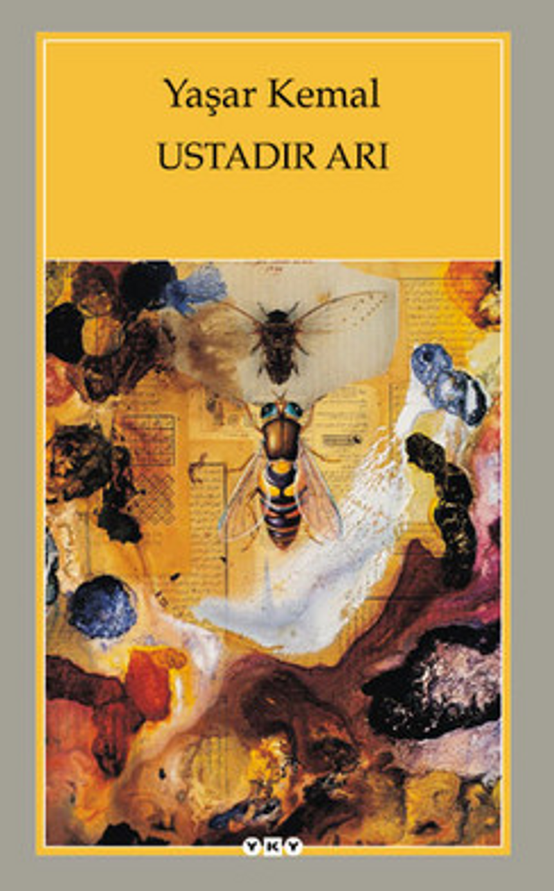Ustadır Arı kitap kapağı