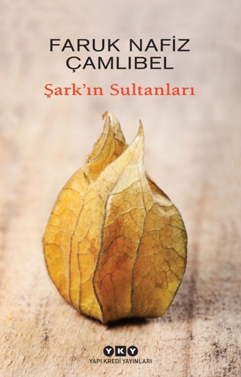 Şark'ın Sultanları kitap kapağı