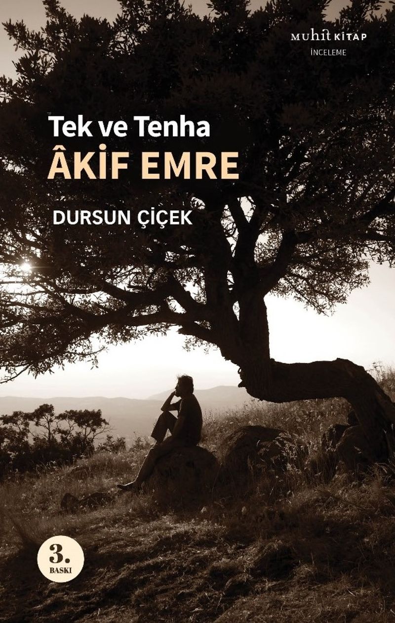Tek ve Tenha Akif Emre kitap kapağı