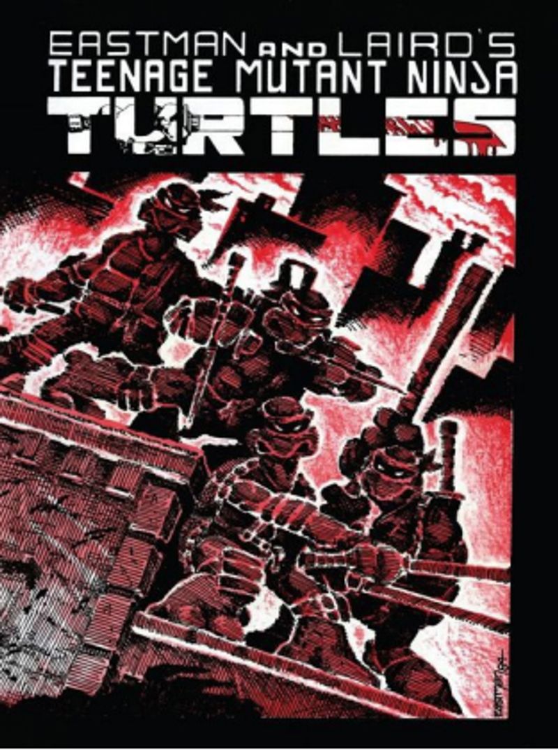 Ninja Kaplumbağalar 1 kitap kapağı
