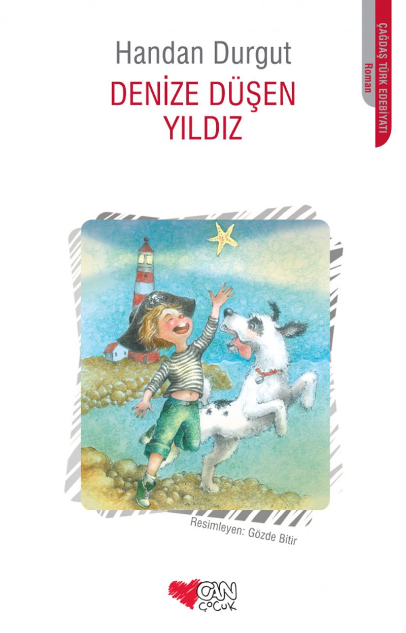 Denize Düşen Yıldız kitap kapağı