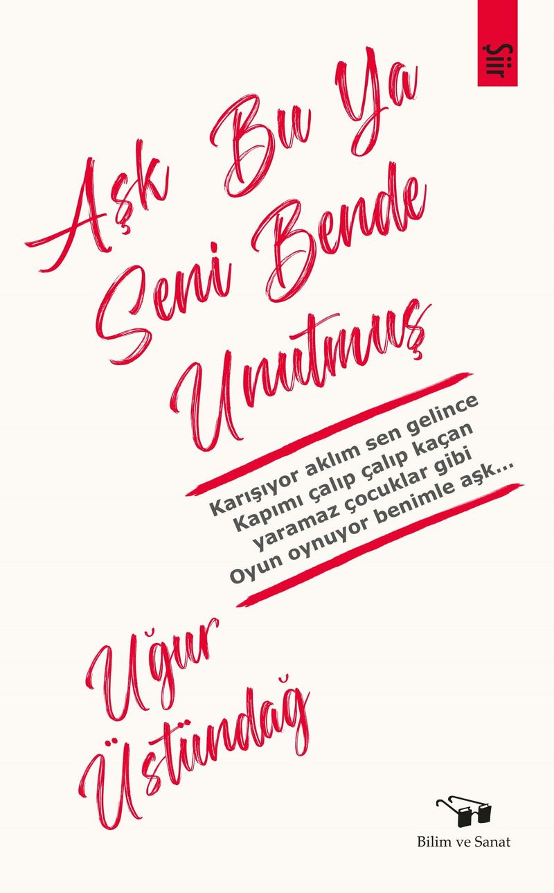 Aşk Bu Ya Seni Bende Unutmuş kitap kapağı
