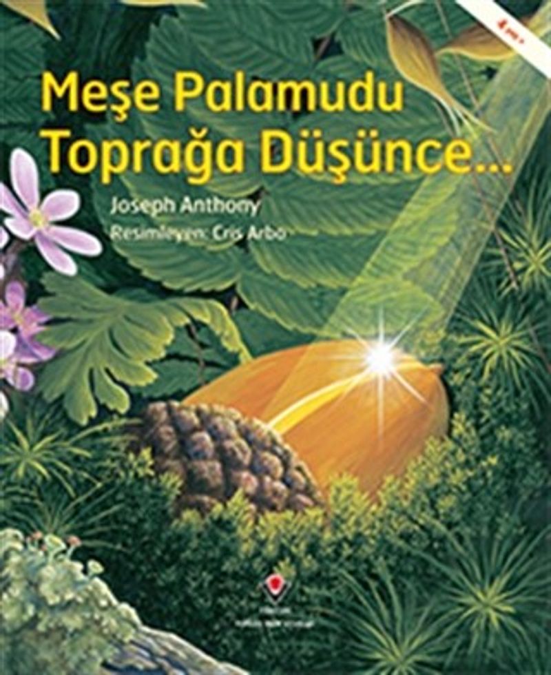Meşe Palamudu Toprağa Düşünce... kitap kapağı