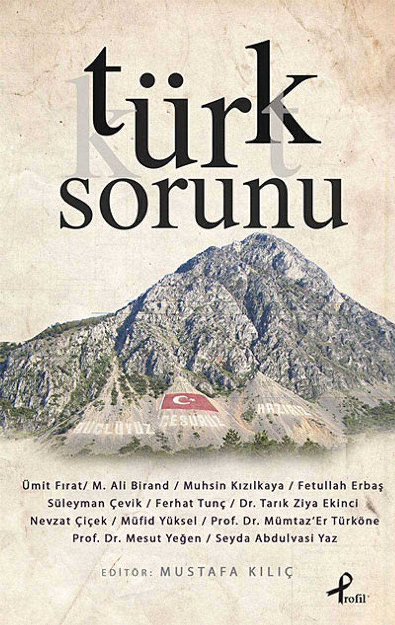 Türk Sorunu kitap kapağı