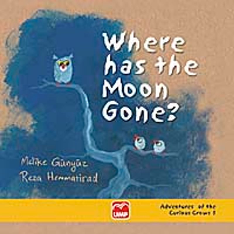 Where Has the Moon Gone? kitap kapağı