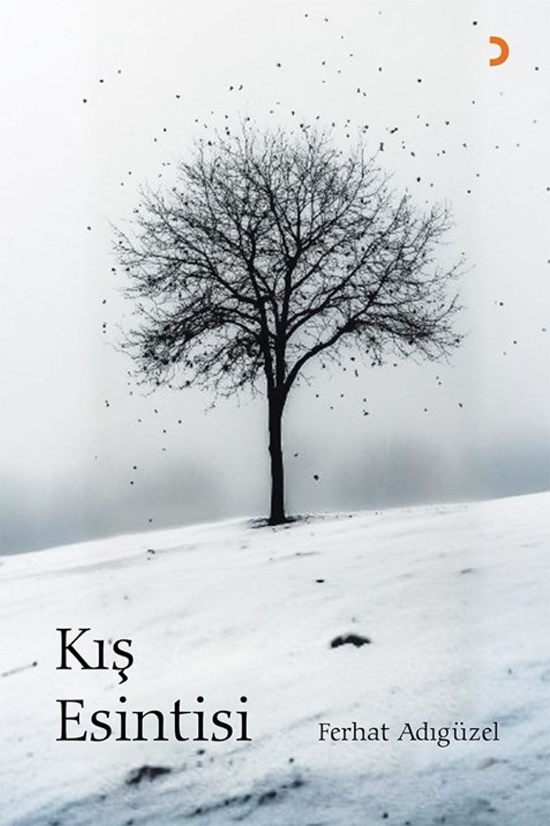 Kış Esintisi kitap kapağı