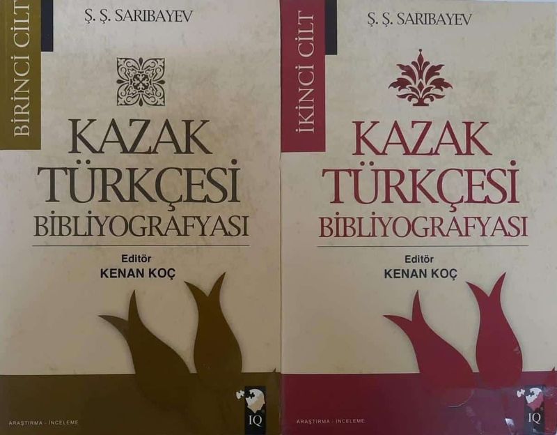 Kazak Edebiyatı (Takım 2 Kitap) kitap kapağı