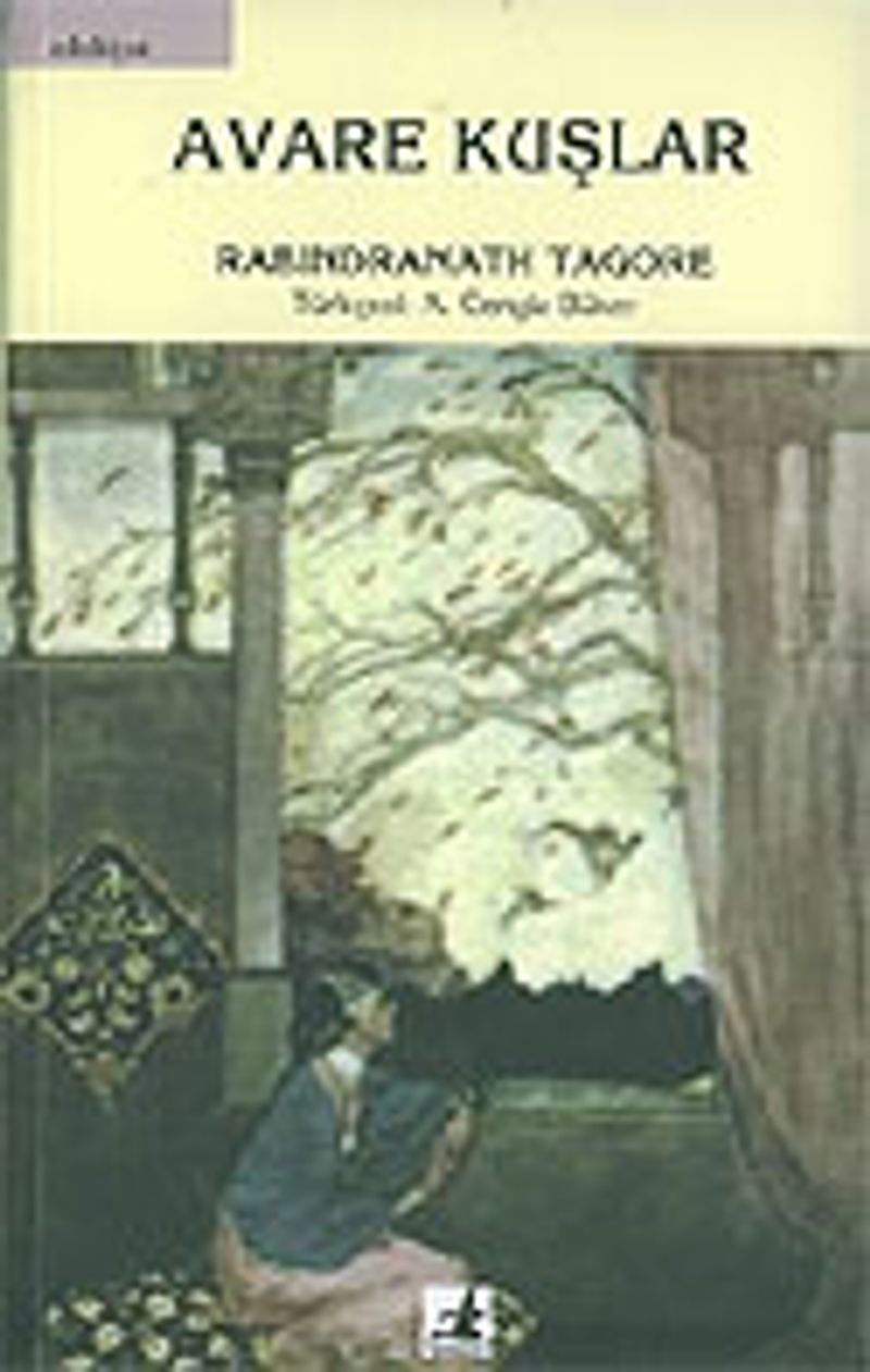 Avare Kuşlar kitap kapağı