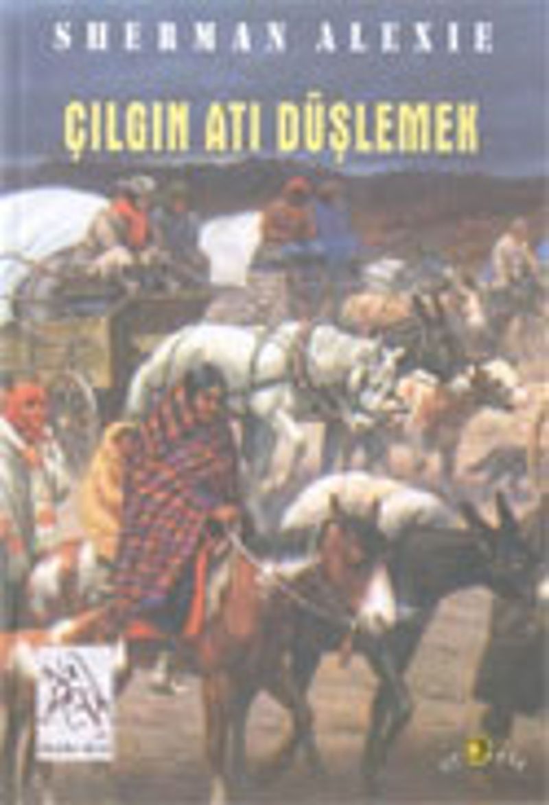 Çılgın Atı Düşlemek kitap kapağı