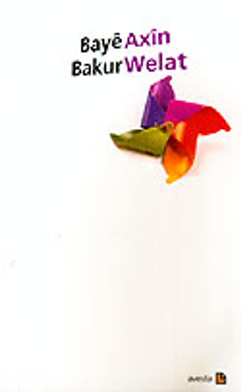 Baye Bakur kitap kapağı
