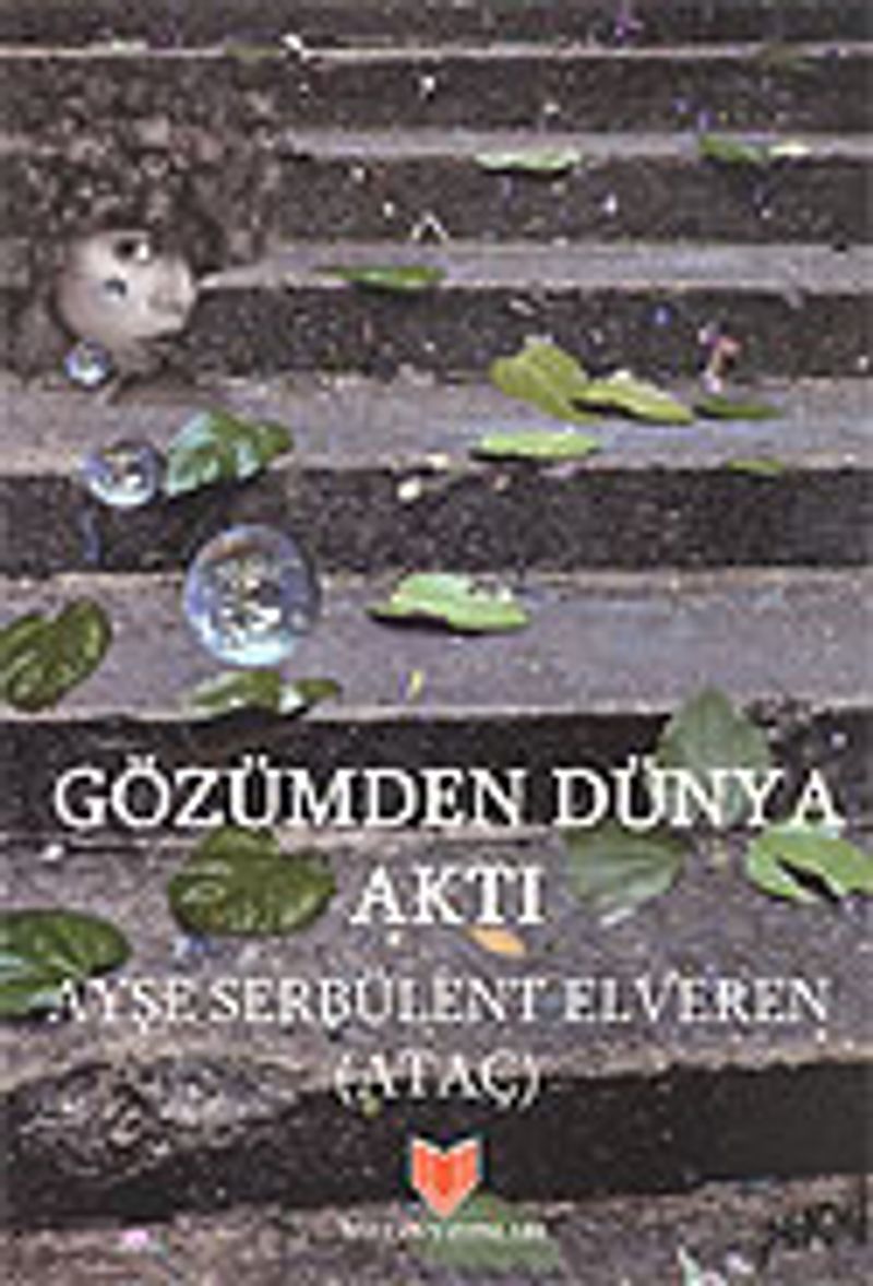 Gözümden Dünya Aktı kitap kapağı