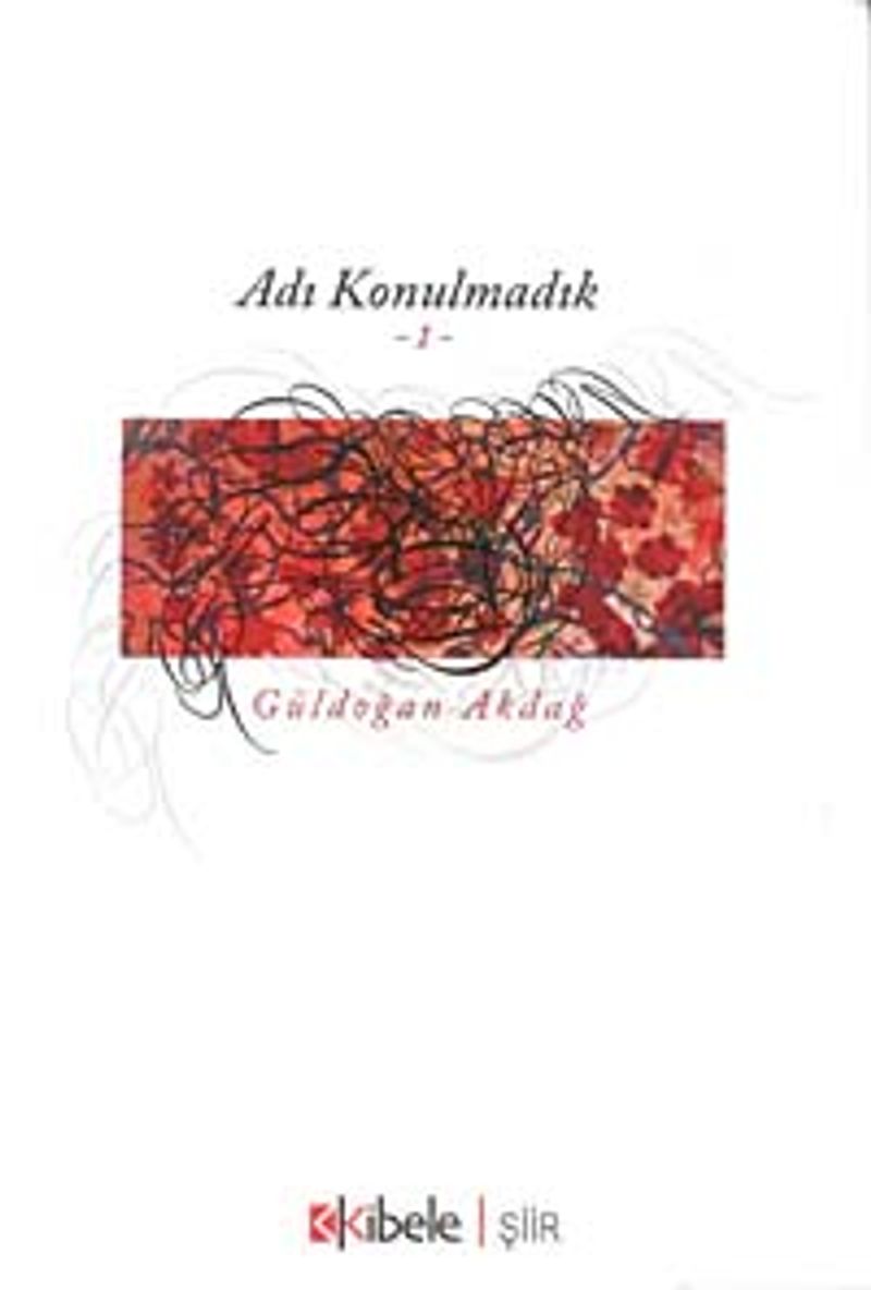 Adı Konulmadık-1 kitap kapağı