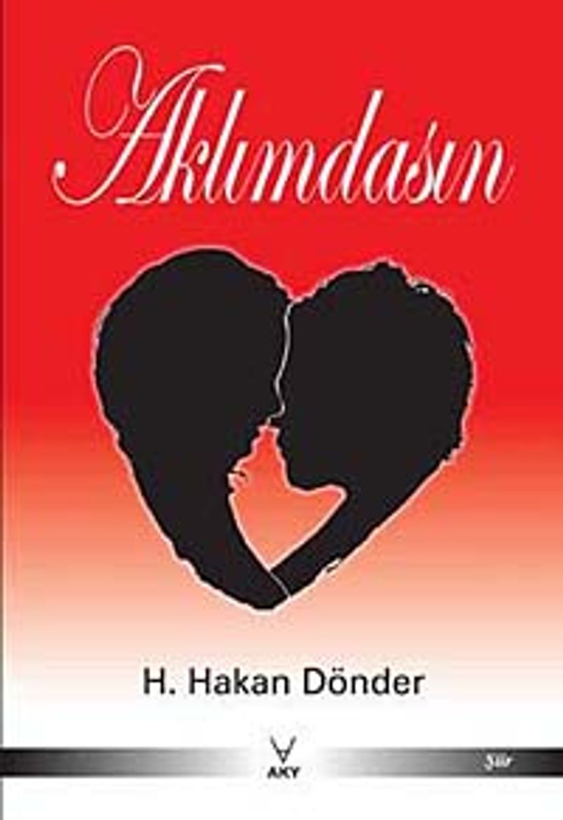 Aklımdasın kitap kapağı
