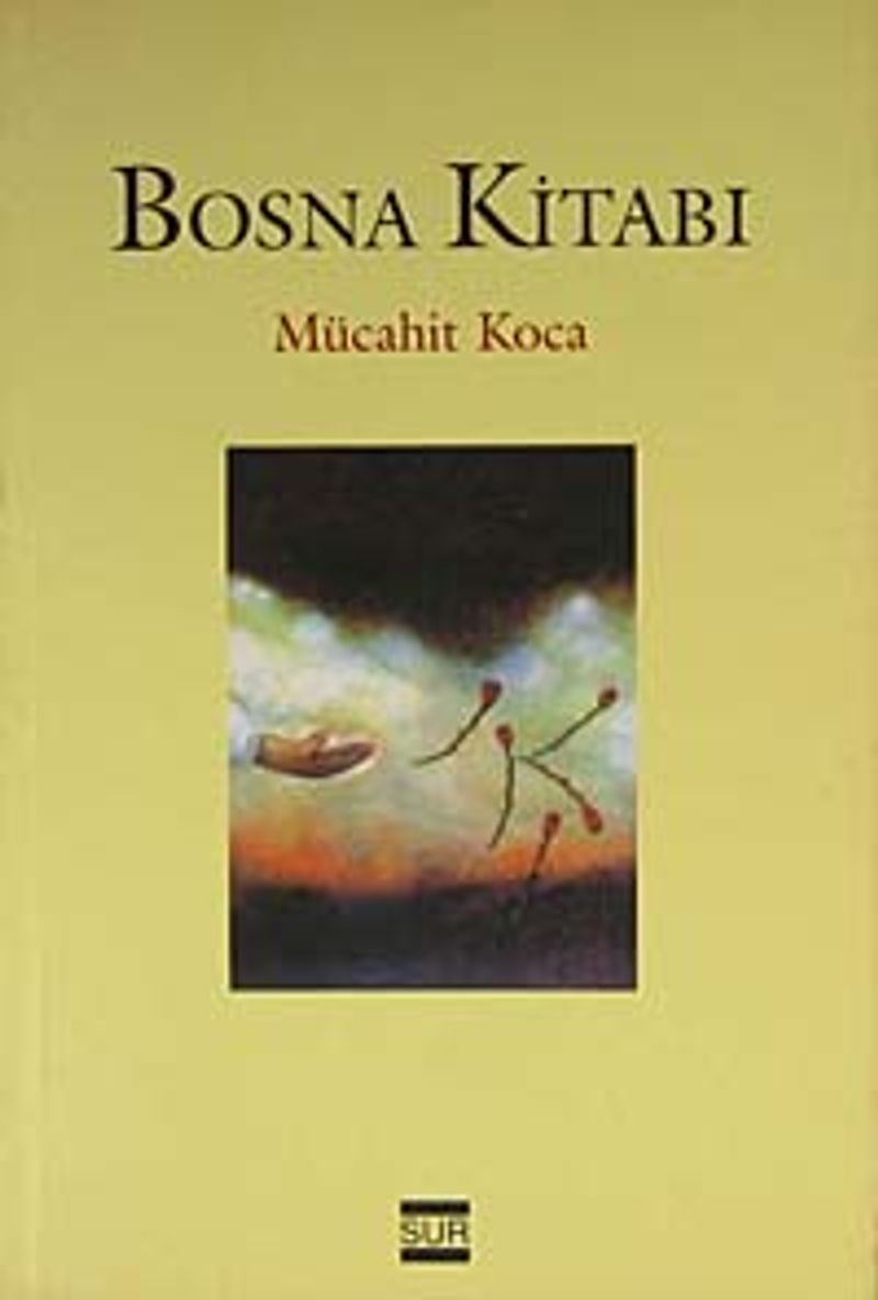 Bosna Kitabı kitap kapağı