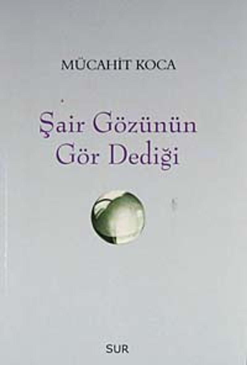 Şair Gözünün Gör Dediği kitap kapağı