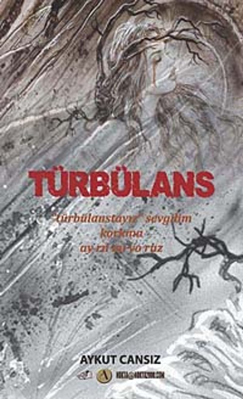 Türbülans kitap kapağı