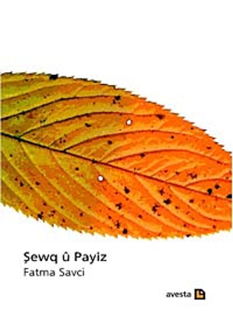 Şewq u Payiz kitap kapağı