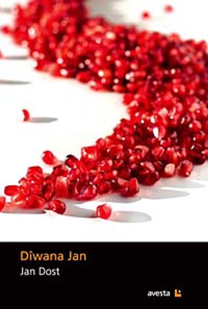 Diwana Jan kitap kapağı