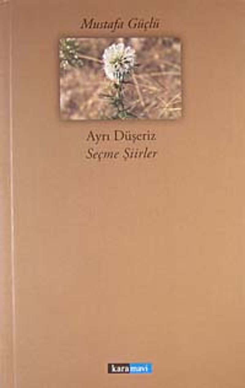 Ayrı Düşeriz - Seçme Şiirler kitap kapağı