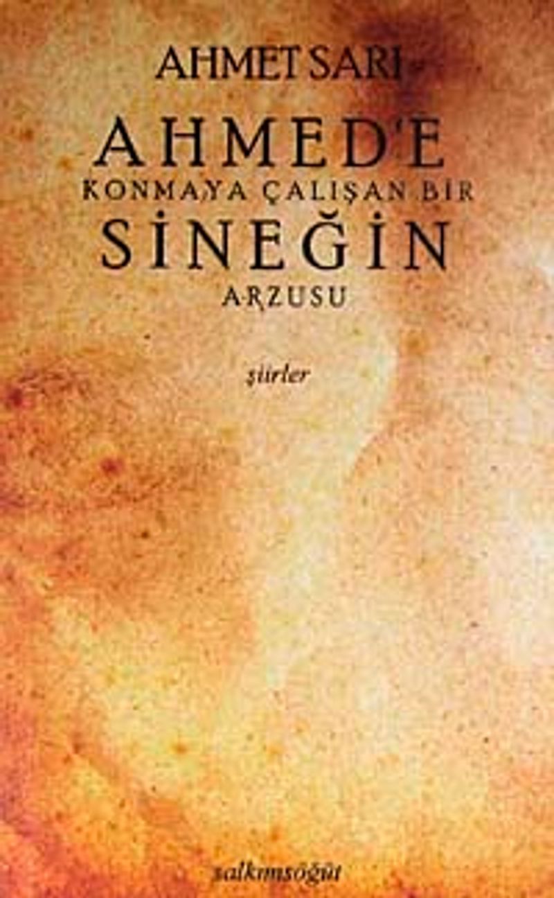 Ahmed'e Konmaya Çalışan Bir Sineğin Arzusu kitap kapağı