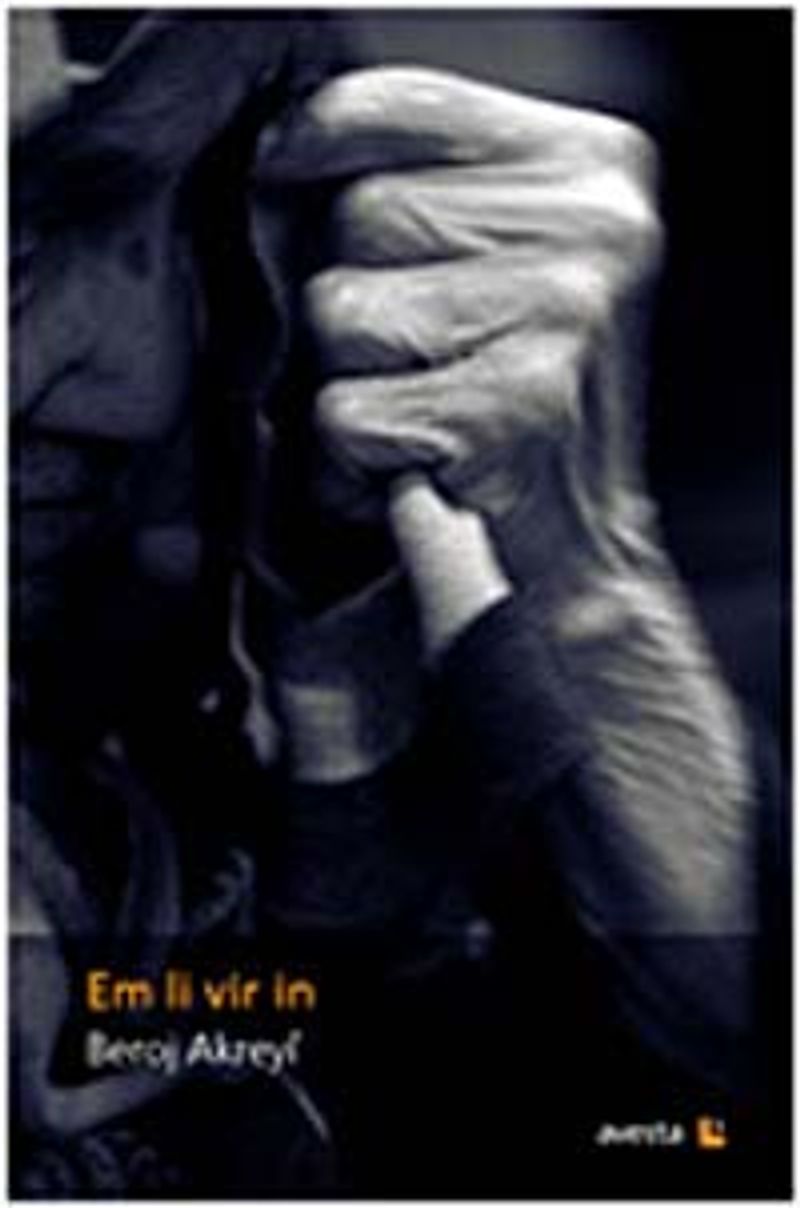 Em li vir in kitap kapağı