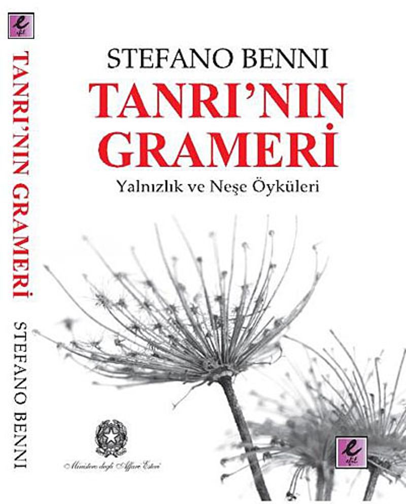 Tanrı'nın Grameri Yalnızlık ve Neşe Öyküleri kitap kapağı