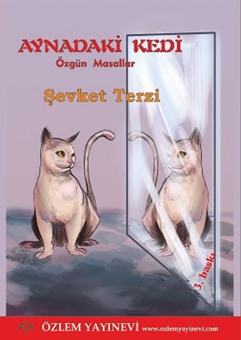Aynadaki Kedi kitap kapağı