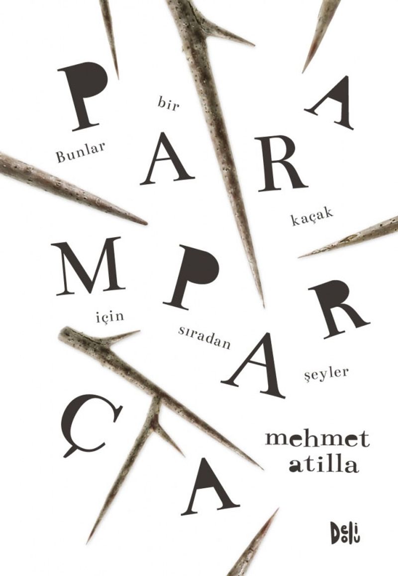 Paramparça kitap kapağı