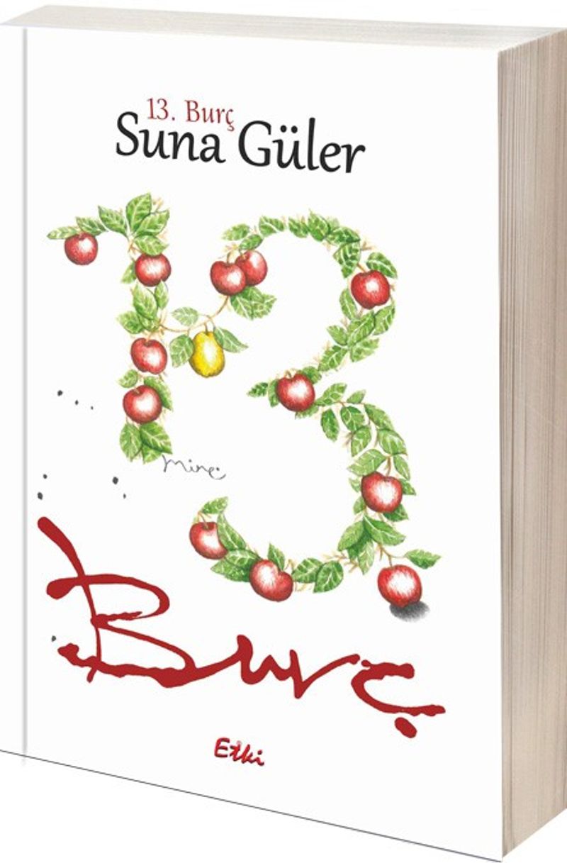 13. Burç kitap kapağı