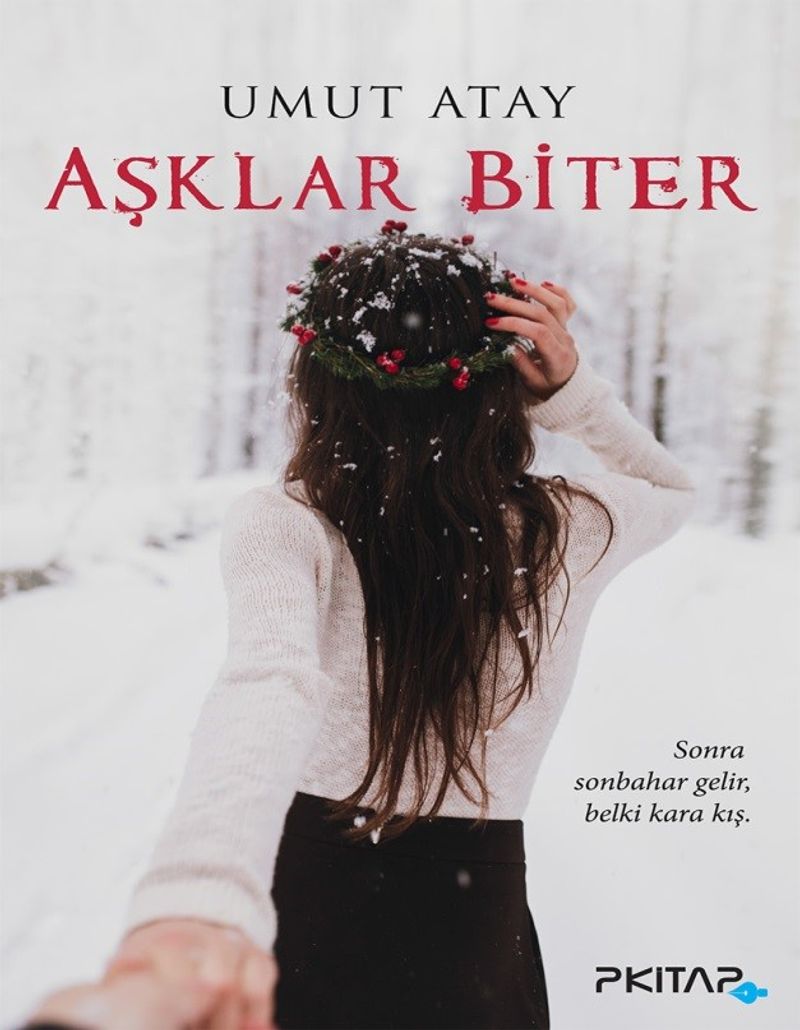 Aşklar Biter kitap kapağı