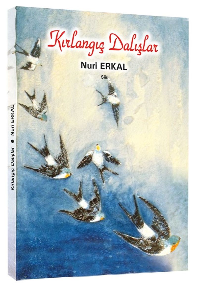 Kırlangıç Dalışlar kitap kapağı