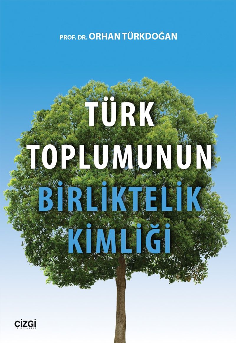 Türk Toplumunun Birliktelik Kimliği kitap kapağı
