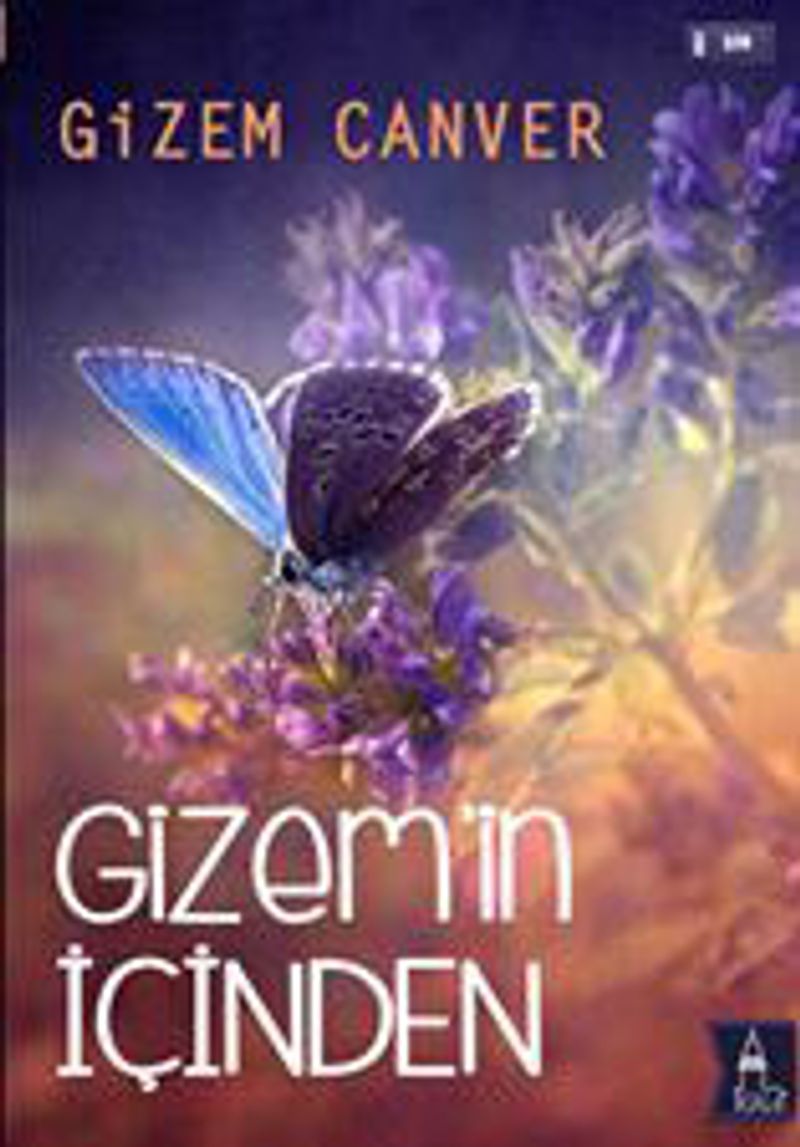 Gizemin İçinden kitap kapağı