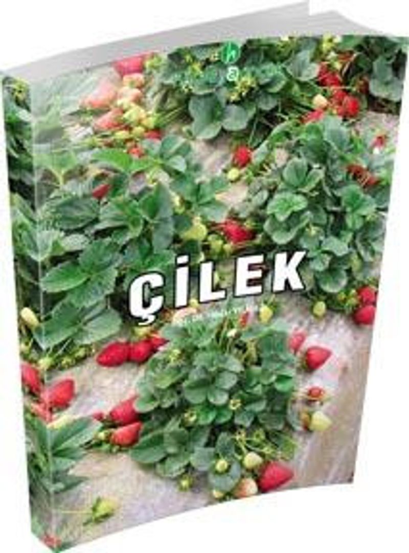 Çilek kitap kapağı