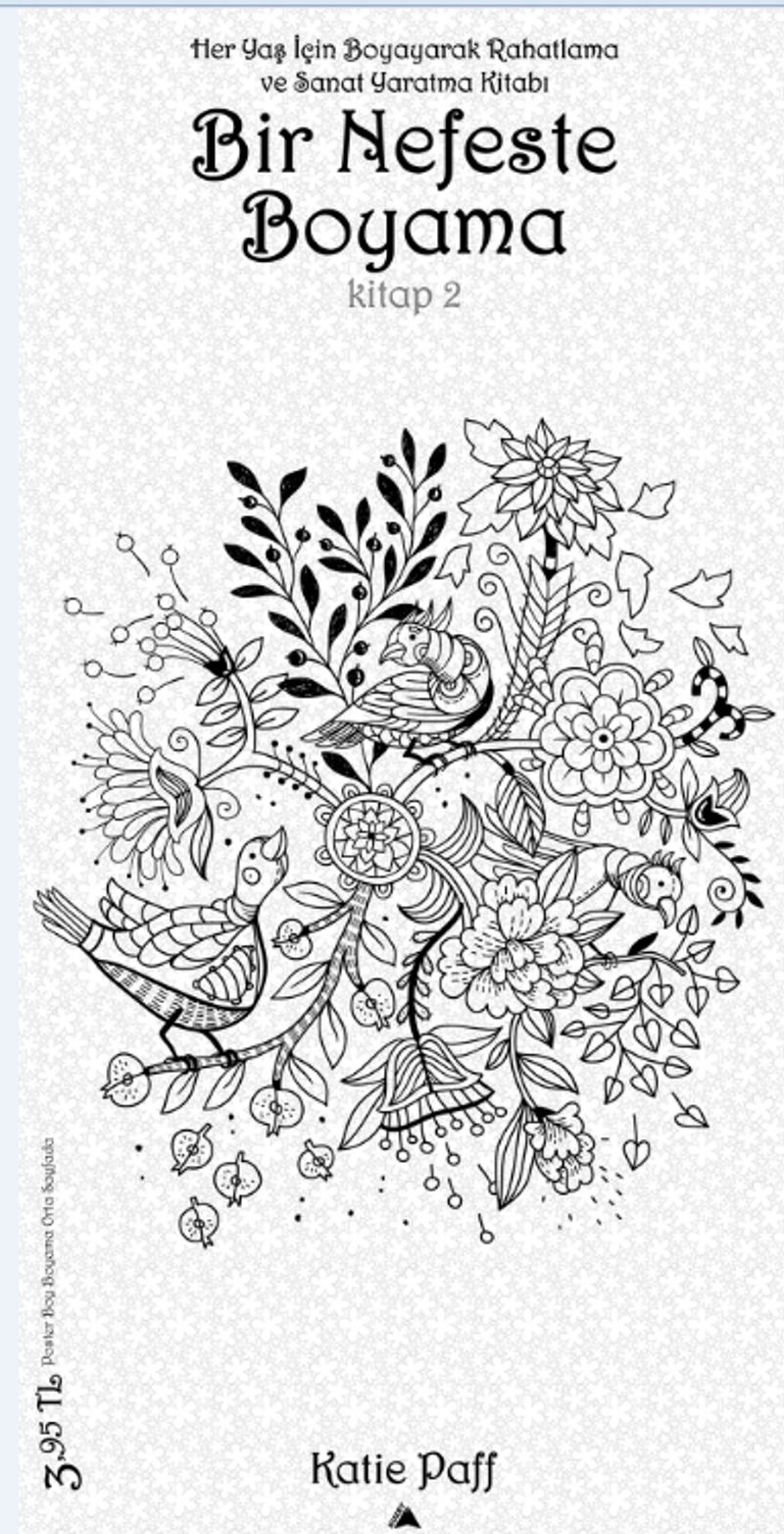 Bir Nefeste Boyama (Kitap 2) kitap kapağı