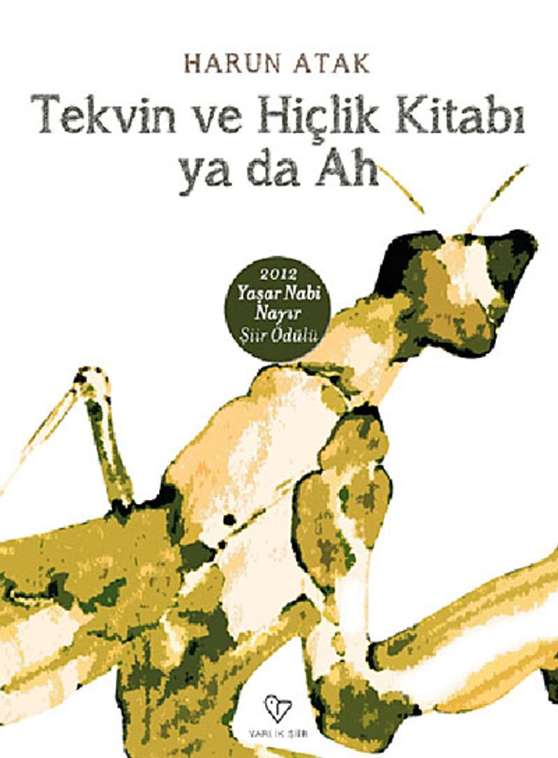Tekvin ve Hiçlik Kitabı ya da Ah kitap kapağı