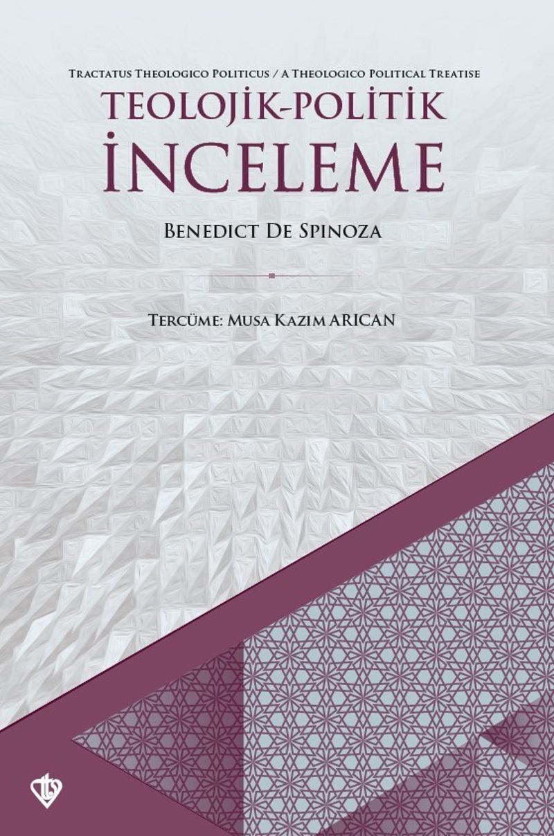 Teolojik-Politik İnceleme kitap kapağı