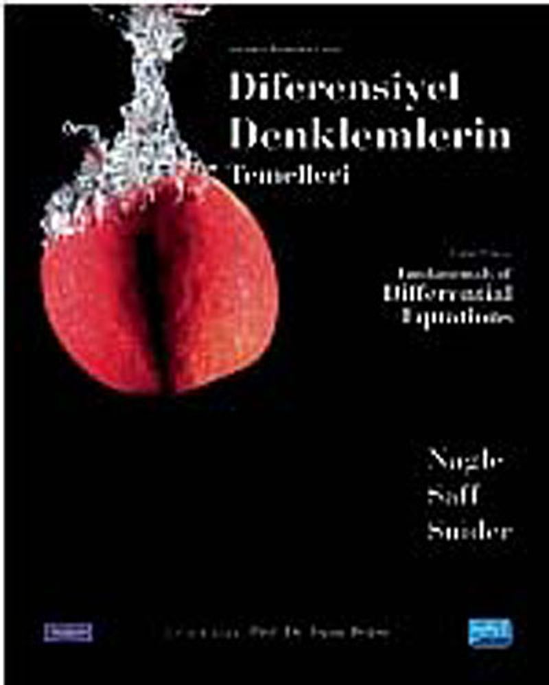 Diferensiyel Denklemlerin Temelleri kitap kapağı